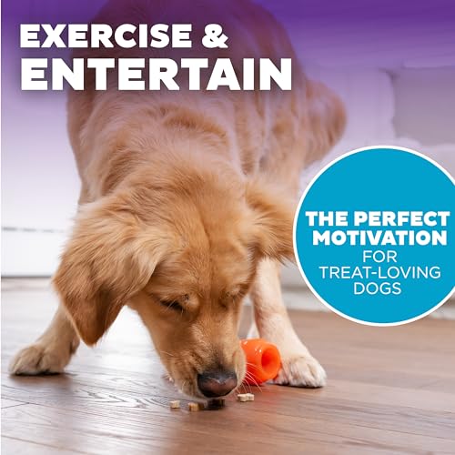 Outward Hound by Planet Dog Foodies Carrot Treat-Dispensing Dog Chew Toy, Orange - color: Carrot