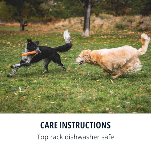 Ruffwear, Gnawt-a-Stick, Durable, Floating Dog Toy, Salamander Orange - color: Salamander Orange