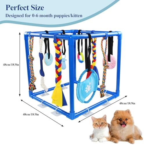 ASOCEA Puppy Play Gym for Small Dogs – Interactive Jungle Gym with 10 Hanging Toys, Adjustable Height, Safe PVC Frame for Indoor Puppy Entertainment, Teething & Mental Stimulation