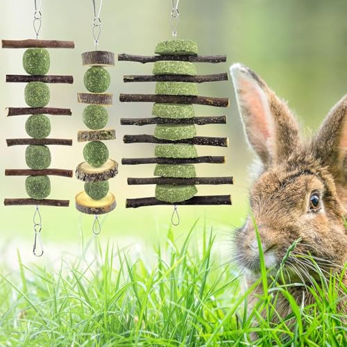 ERKOON Bunny Chew Toys, Rabbit Chew Toys for Teeth Grinding, Improve Dental Health, 100% Natural Apple Wood Timothy Grass Cake Treats for Rabbits Guinea Pigs Chinchillas Bunnies Hamsters (9 Pcs) - style: 9 Pcs