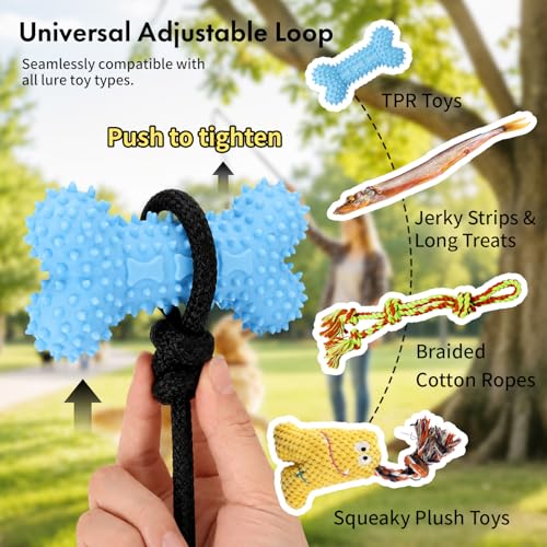 Flirt Pole for Dogs, Heavy Duty 33" Detachable Toy with 5 Lures - color: Rope+Ball