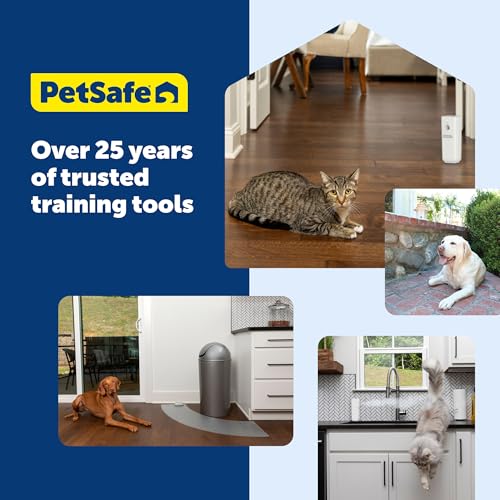 PetSafe Clik-R Dog Training Clicker, Blue - color: Blue