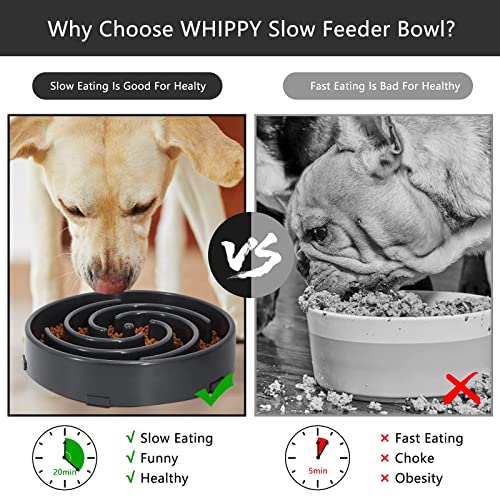 Slow Feeder Large Dog Bowl - Maze Puzzle Bowl for Medium to Large Dogs - Non Slip, Interactive, Bloat Stop, Healthy Feeding Dish - Gray - color: D-gray