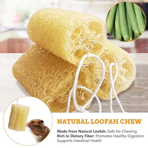 12 Pcs Rabbit Chew Toys Natural Bunny Loofah Chew Toy Chinchilla Teeth Grinding Toys Guinea Pig Fibre-Rich Treats Enrichment Bunny Accessories for Rabbits Hamster (M)