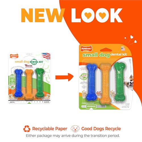 Nylabone Flexi Chew Small Dog Dental Kit, Textured Dog Chew Toys, 3 Count - size: X-Small