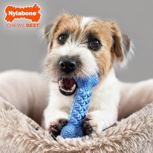 Nylabone Strong Chew Braid Bone Dog Chew Toy, Medium - size: Medium