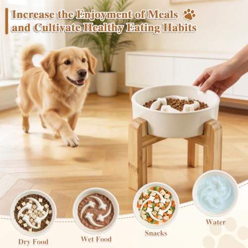 6.3” Elevated Slow Feeder Dog Bowls,Ceramic Slow Feeder Dog Bowl with Stand - color: White-M
