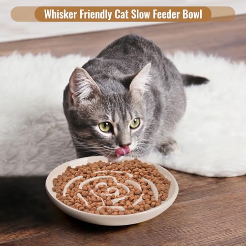 Slow Feeder Cat Bowl Set of 2, Ceramic Slow Feeding Cats Bowl Whisker Friendly, Anti Vomiting Cat Feeder for Dry and Wet Food，Fun Maze Interactive Bloat Stop Puzzle Bowls for Healthy Eating Diet - color: apricot