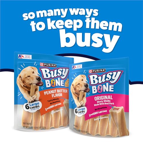 Purina Busy Bone Large Dog Chew Treats, Peanut Butter Flavor, 10 ct Pouch - size: 2.19 Pound (Pack of 1)