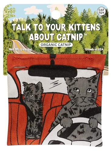 Blue Q Catnip - Cute Cat Toys for Biting w/Funny Graphics - Talk to Kitten - color: Talk to Your Kittens About Catnip