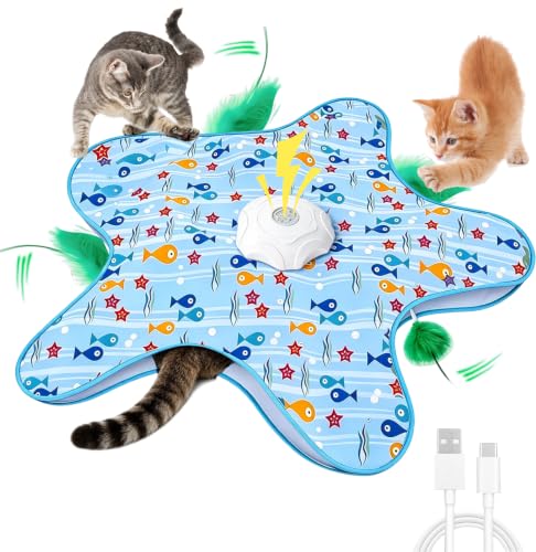 Interactive Cat Toys, Automatic Activated Hide and Seek Indoor Toys