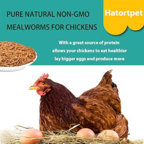 Dried Mealworms 20LB Pure Natural Chicken Treat for Laying Hens Wild Bird - size: 10 Pound (Pack of 2)