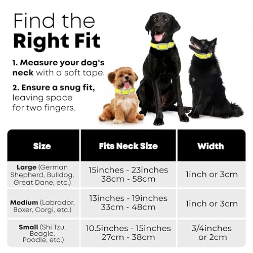 Regal Dog Products Reflective Dog Collar & Leash Set, Metal, Small Yellow - color: Yellow, size: Small Collar & Leash