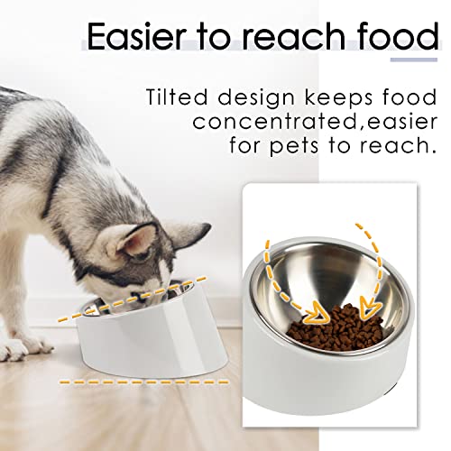 SUPERDESIGN Anti-Vomiting 15° Slanted Pet Bowl, S/0.5 Cup, Gray - color: Light Gray, size: S/0.5 Cup