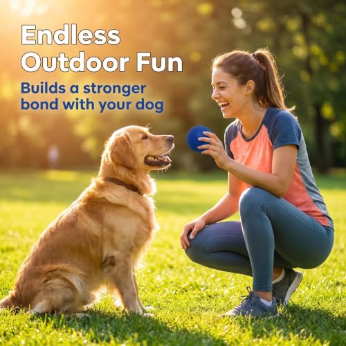 Indestructible Solid Rubber Ball for Dog, 3 Pack 2.5In