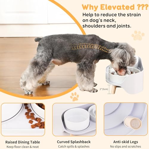 Elevated Slow Feeder Dog Bowls with Splash Proof Stand, Slow Eating 5X - color: White