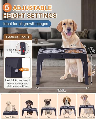 LALOBLUE Collapsible Dog Bowls Raised Elevated Adjust Stand