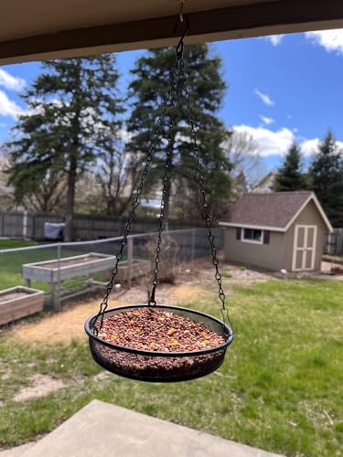 2 Pack 8" Diameter Hanging Bird Feeder Tray Round Metal Mesh Seed Container Outside Garden Decoration Backyard Wild Bird Feeding