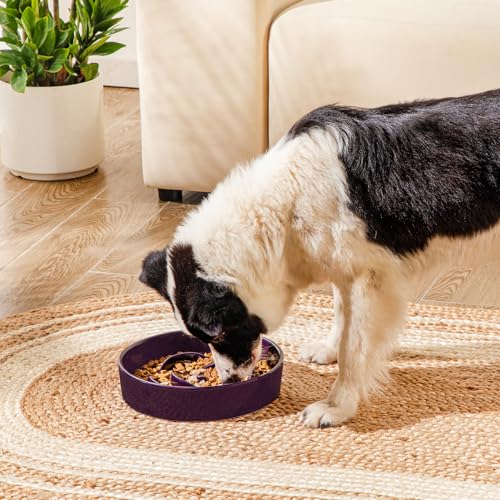 vancasso Slow Feeder Dog Bowl, 3 Cups Ceramic Puzzle Dish for Large Breed - color: Dark Purple, size: L - 3 Cups