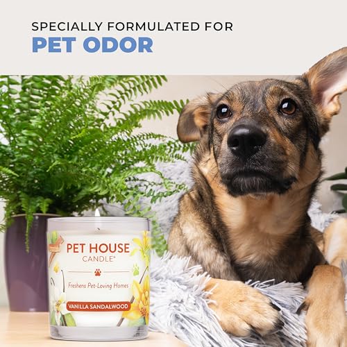 Hot Cocoa & Sugar Cookies Candle Pet Friendly Plant-Based Wax, Pet House - color: Hot Cocoa, Sugar Cookies, size: Pack of 2