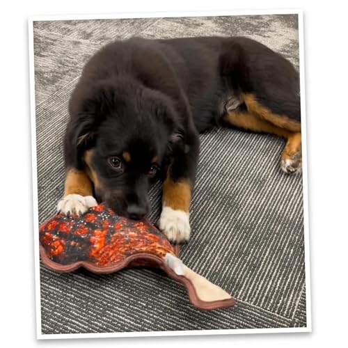 Doggijuana Tomahawk Steak & Grilled Kebab Dog Toy Bundle | 2 Pack, Squeaky - style: Tomahawk Steak & Grilled Kebab