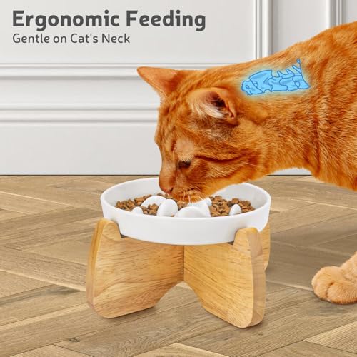 Raised Ceramic Slow Feeder Cat Bowl 6.3" Wide with Stand (1 Pack) - color: Raised Slow Feeder Bowl (1 Pack)