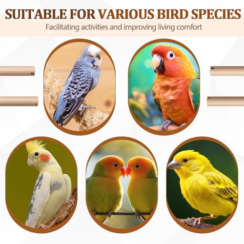 Sintuff Bird Perches Natural Wood Double Slots, 15 Inches, 8 Pcs - size: 15 Inches