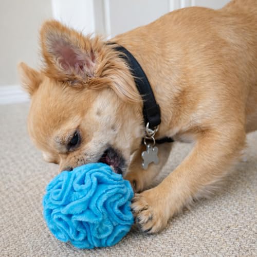Glory To Dog Puppy/Small Breed Snuffle Dog Puzzle Ball Toy Blue Extra Small - color: Blue, size: Extra Small