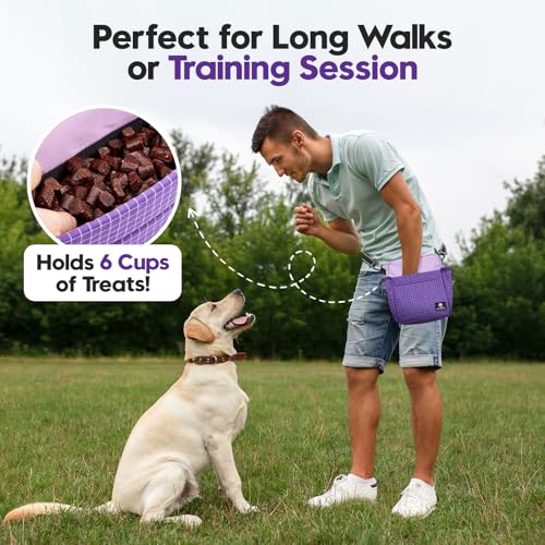 Dog Treat Pouch for Training, Magnetic Dog Walking Bag and Fanny Pack - color: Purple