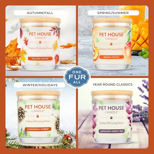 Vanilla Sandalwood Candle Pet Friendly Plant-Based Wax, Pet House - color: Vanilla Sandalwood, size: Pack of 1