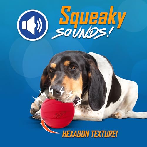 Nerf Dog Classic Squeak Ball Outdoor Dog Toy, 3.8 Inch Dog Ball Fetch Toy, Squeaking Toy for Medium and Large Breeds, Green/Red, 2 Count - color: Green/Red, size: 1 Count (Pack of 2), style: 2-Pack