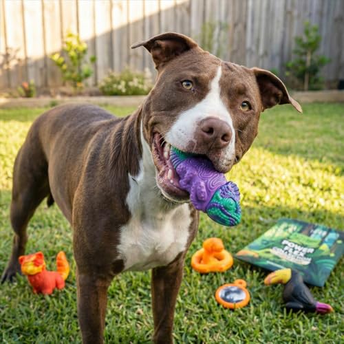 Happy PowerFlex Jungle Trek Dog Chew Dog Toys, 5 Piece Set