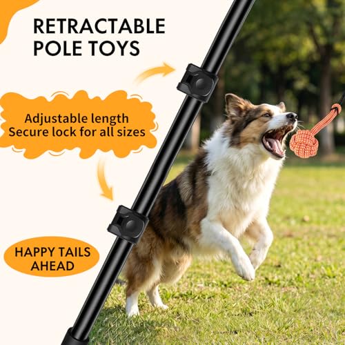 Flirt Pole for Dogs, 40" Extendable Aluminum Teaser Pole with 4 Lures - size: 40"(102cm)