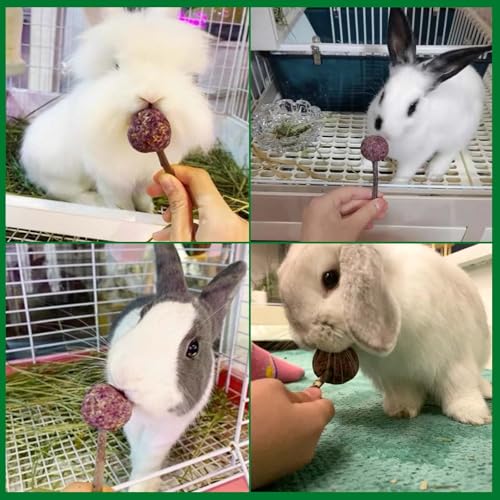 kathson 16PCS Rabbit Timothy Hay Treats Sticks,Interactive Bunny Lollipop Chew Sticks,Natural Guinea Pigs Chewing Treats Molar Teeth Toys for Small Animals,Chinchilla,Hamster,Gerbil - color: 16