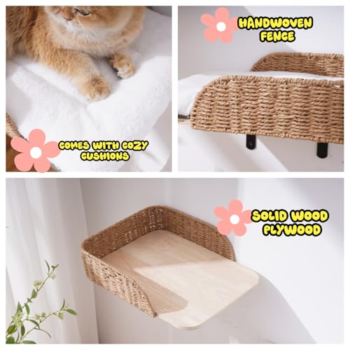 SHENGOCASE 2-Pack Wall Mounted Cat Bed Perch - size: F