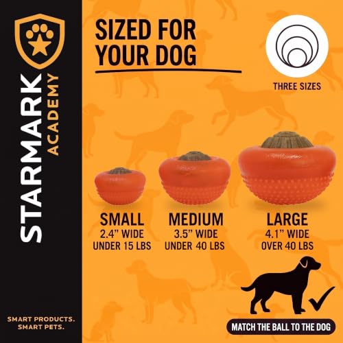 Starmark Everlasting Treat Bento Ball Tough Dog Chew Toy Small - size: Small