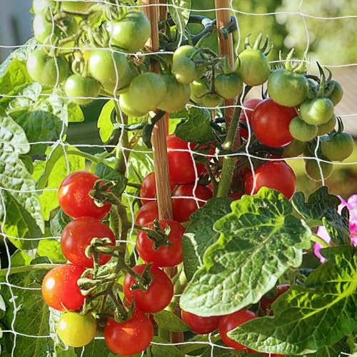 Heavy Duty Garden Trellis Netting, 6 x 30 ft, White, Rectangular, Reusable, Supports Vine Vegetables Fruits Flowers, Ideal for Vertical Horizontal Gardening - size: 6x30ft - 2 Pack
