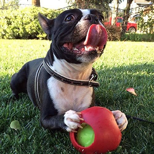 Jolly Pets Teaser Ball Interactive Dog Toy, 4.5 in Small, Red - color: Red, size: Small (4.5 in)