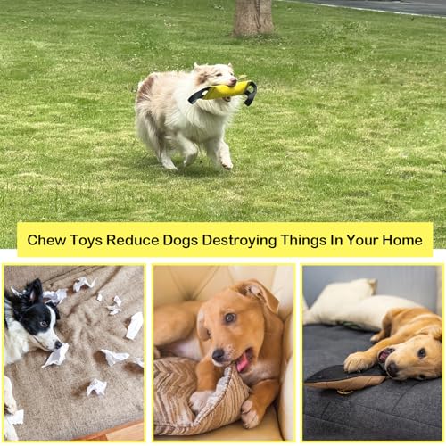 ASOCEA Dog Pool Toys,Water Floating Toys Interactive Tug Toys