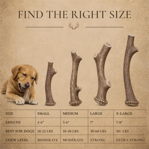 WhiteTail Naturals Monster XXL Whole Deer Antler for Giant Dogs - 7-8" - size: Jumbo (Pack of 1)