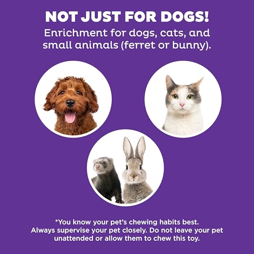 Outward Hound Nina Ottosson Dog Hide N' Slide Dog Toy Treat Puzzle, 11.6" - color: Dog Hide-N-Slide (Purple), size: 1 Count (Pack of 1)