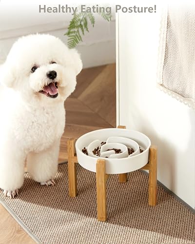 Ceramic Slow Feeder Dog Bowls Elevated, 2.0 Cups Slow Feeder for Medium Dogs, Puzzle Maze Bowl to Slow Down Eating, 30oz, 8in, White - color: White + Stand, size: 8 Inches