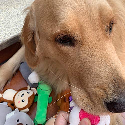 Jalousie 12 Pack Plush Animal Dog Toy, Premium Squeaky Chew Toys for Small Medium Dogs, Stuffed Puppy Toys for Pets - Dental Cleaning & Stress Relief - color: 12 Pack Animals