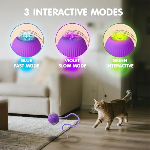Rocfish Durable Interactive Cat Toys for Indoor Cats (Purple, 01) - color: purple01, size: 01