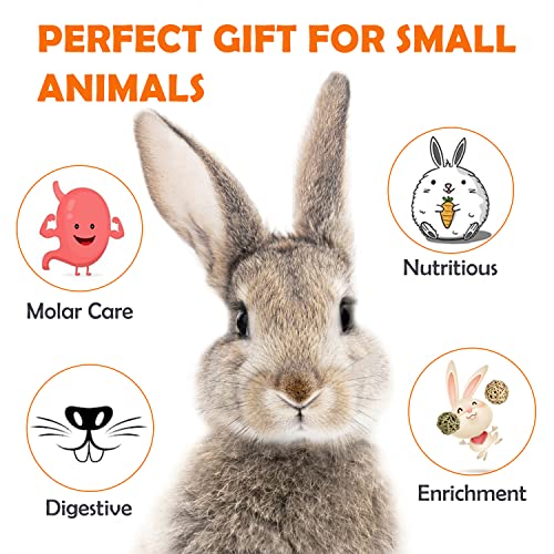 Sofier 32Pcs Timothy Hay Sticks 320g for Rabbit, Guinea Pig, Hamster - Natural Handmade Treats and Chews for Teeth - Chinchilla, Rat, Gerbil Toys
