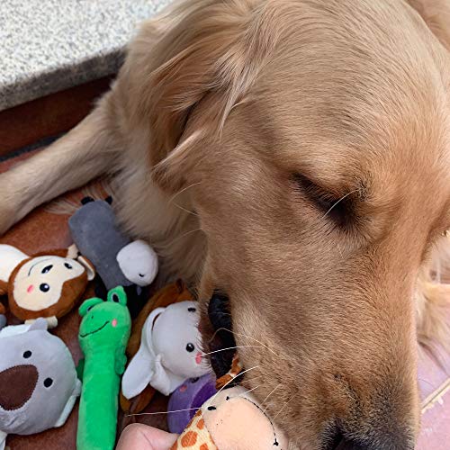 Jalousie 12 Pack Plush Animal Dog Toy, Premium Squeaky Chew Toys for Small Medium Dogs, Stuffed Puppy Toys for Pets - Dental Cleaning & Stress Relief - color: 12 Pack Animals