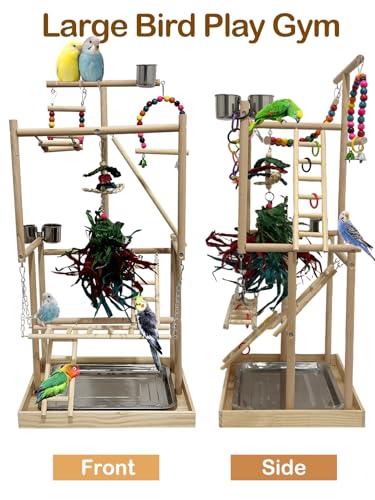 4-Tier Large Wooden Bird Playground with Trays Cups Ladder - Parrot Playstand, Birds Play Stand, Wood Perch Gym for Parrots Cockatiels - Durable Multi-Level Bird Activity Center