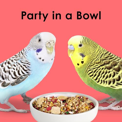 Kaytee Fiesta Parakeet Food, Nutritious and Fun Blend, 25 Pounds - size: 25 Pound (Pack of 1)