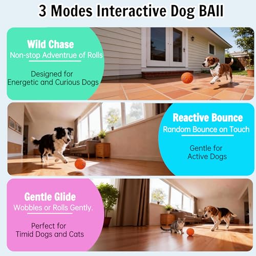 Self-Moving Rolling Dog Ball, Interactive Toy, Rechargeable - color: Energetic Orange