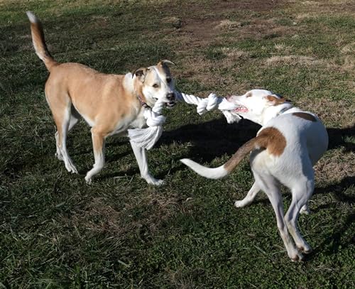 Big TUG Dog Toy. Heavy Duty Cotton Dog Toy, Made with Massive 1-1/2" Rope. White Double Knotted Tug Toy, Extra Large Size for Strong Dogs, Durable Braided Chew Rope with Frayed Ends.